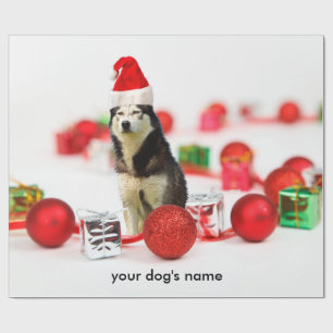 Papier Cadeau Papier d'emballage de Noël Sibérien Husky