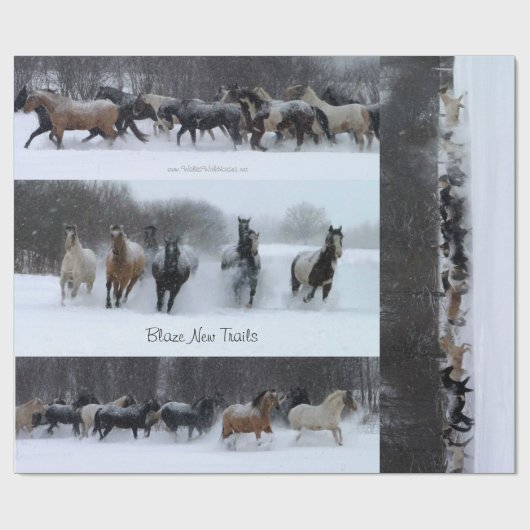 Papier Cadeau Papier d'emballage de nouveau cheval de traînées (Plat)