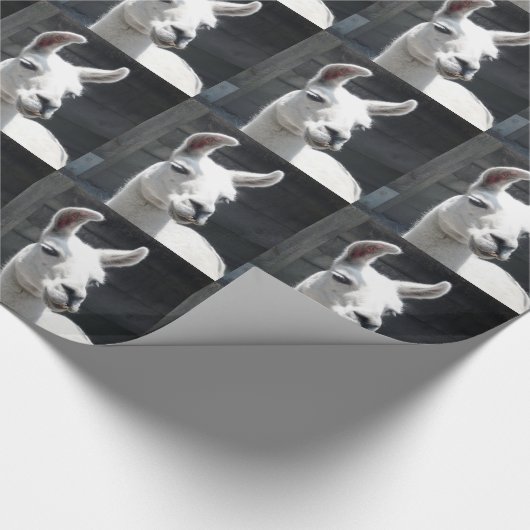 Papier Cadeau Papier d'emballage de sourire de lama (Coin)