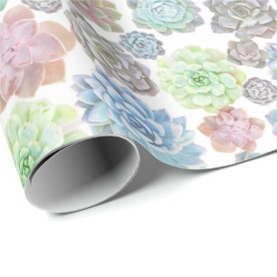 Papier Cadeau Papier d'emballage de Succulents