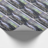 Papier Cadeau Papier d'emballage de tortue (Coin)