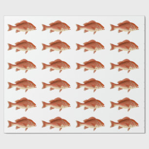 Papier Cadeau Papier d'emballage de vivaneau