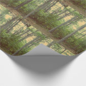 Papier Cadeau Papier d'emballage des arbres forestiers (Coin)
