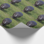 Papier Cadeau Papier d'emballage d'hippopotame de bébé (Coin)