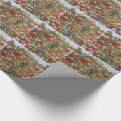 Papier Cadeau Papier d'emballage d'ORANGES de la FLORIDE (Coin)