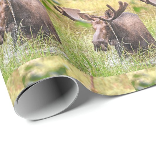 Papier Cadeau papier d'emballage d'orignal (Coin rond)