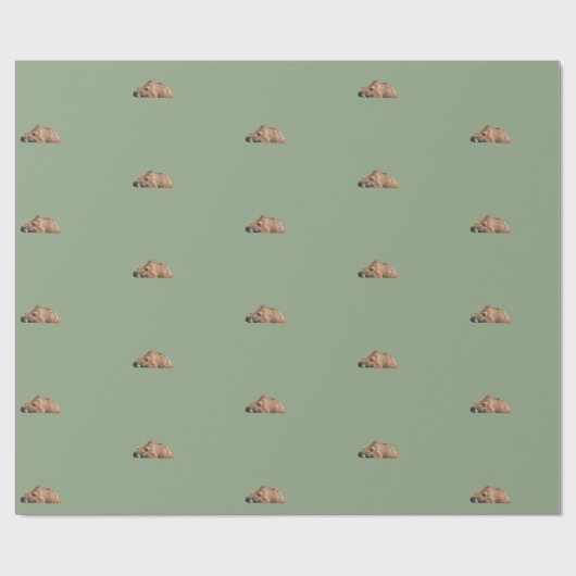 Papier Cadeau papier d'emballage d'ours gris (Plat)