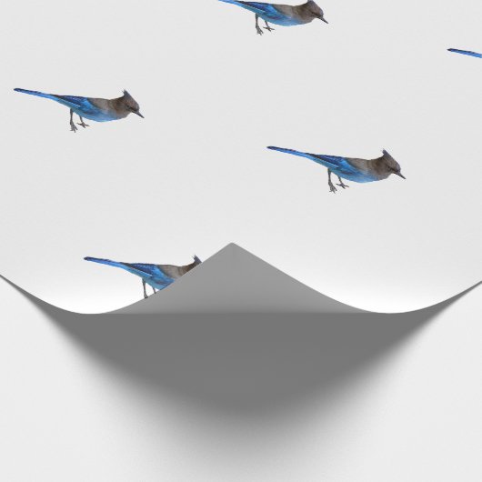 Papier Cadeau papier d'emballage en jais bleu stellaire (Coin)