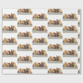 Papier Cadeau papier d'emballage grizzli (Plat)