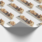 Papier Cadeau papier d'emballage grizzli (Coin)