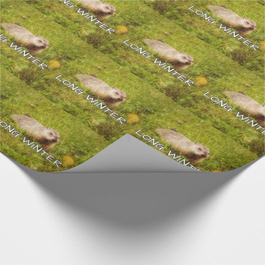 Papier Cadeau Papier d'emballage long hiver (Coin)