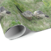 Papier Cadeau Papier d'emballage Marmotte (Coin rond)