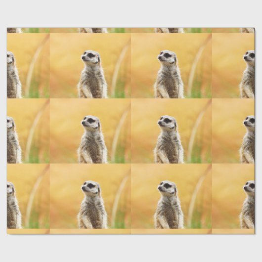 Papier Cadeau Papier d'emballage mignon de Meerkat (Couture)