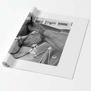 Papier Cadeau Papier d'emballage poney Polo