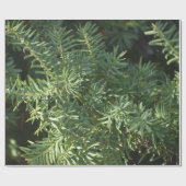 Papier Cadeau Papier d'enlèvement de la forêt de pins (Plat)