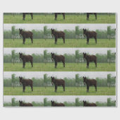 Papier Cadeau Papier d'enveloppement à âne (Plat)