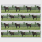 Papier Cadeau Papier d'enveloppement de âne (Plat)