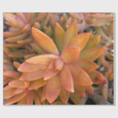 Papier Cadeau Papier d'enveloppement de cadeaux succulent (Plat)