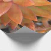 Papier Cadeau Papier d'enveloppement de cadeaux succulent (Coin)