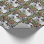 Papier Cadeau Papier d'enveloppement de chats blanc et tabby (Coin)