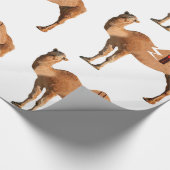 Papier Cadeau Papier d'enveloppement de divorce (Coin)