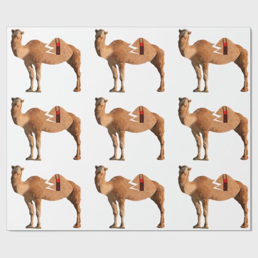 Papier Cadeau Papier d'enveloppement de divorce (Plat)