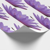 Papier Cadeau Papier d'enveloppement de fleurs de crocus pourpre (Coin)