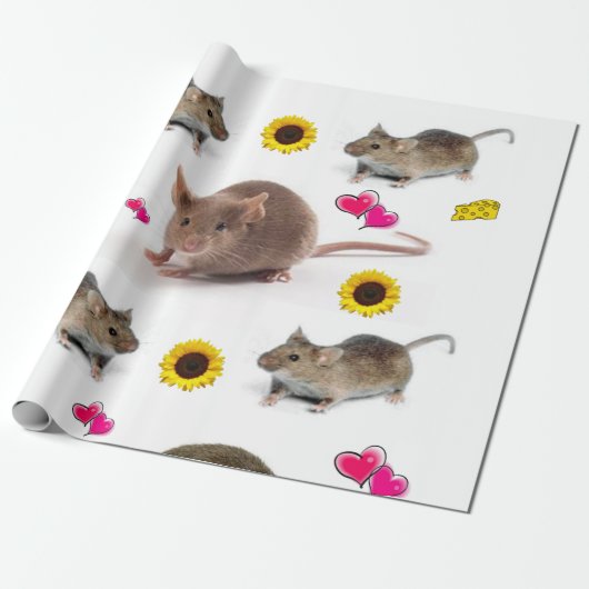 Papier Cadeau Papier d'enveloppement de la viande de tournesol (Déroulé)