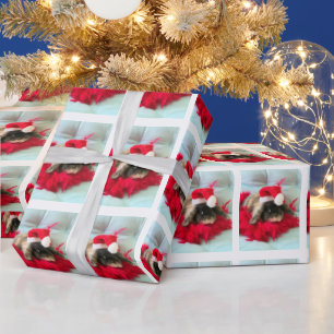 Papier Cadeau Papier d'enveloppement de Noël de Holland Lop