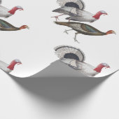 Papier Cadeau Papier d'enveloppement de Turquie (Coin)