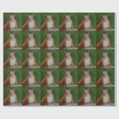 Papier Cadeau Papier d'enveloppement d'écureuil (Plat)