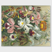 Papier Cadeau Papier d'enveloppement d'orchidées d'Ernst Haeckel (Plat)