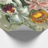 Papier Cadeau Papier d'enveloppement d'orchidées d'Ernst Haeckel (Coin)