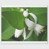 Papier Cadeau Papier d'enveloppement en fleurs orange (Plat)