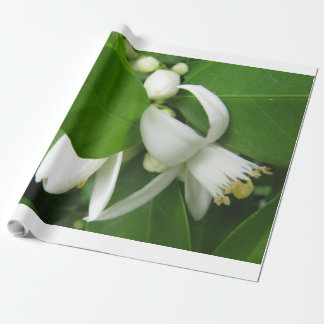 Papier Cadeau Papier d'enveloppement en fleurs orange