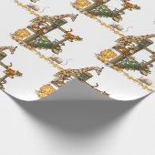 Papier Cadeau Papier d'enveloppement pour animaux sauvages (Coin)