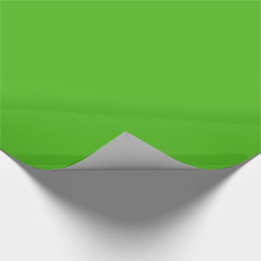 Papier Cadeau Papier Kelly Green Wrapper (Coin)