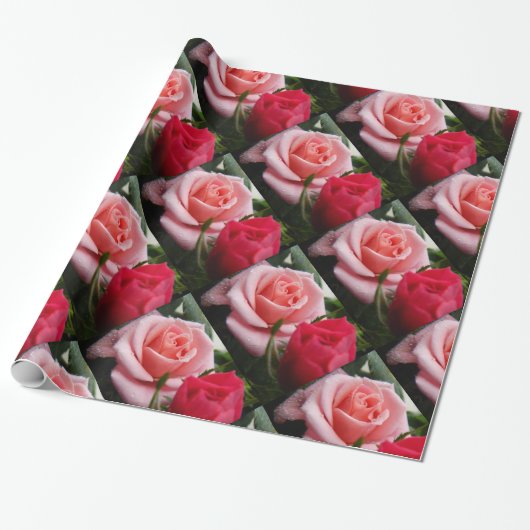Papier Cadeau Papier Motif à enveloppement rose et rouge Roses (Déroulé)