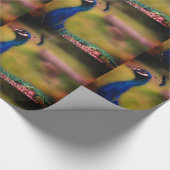 Papier Cadeau Papier Peacock Photo Matte Wrapper (Coin)
