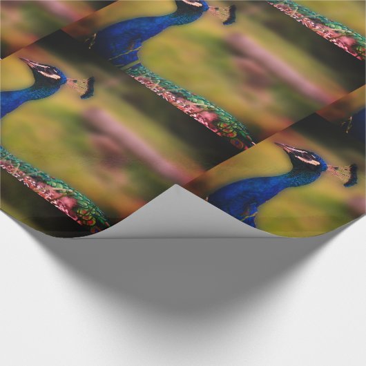 Papier Cadeau Papier Peacock Photo Matte Wrapper (Coin)