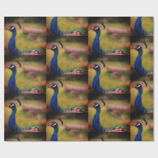 Papier Cadeau Papier Peacock Photo Matte Wrapper (Plat)
