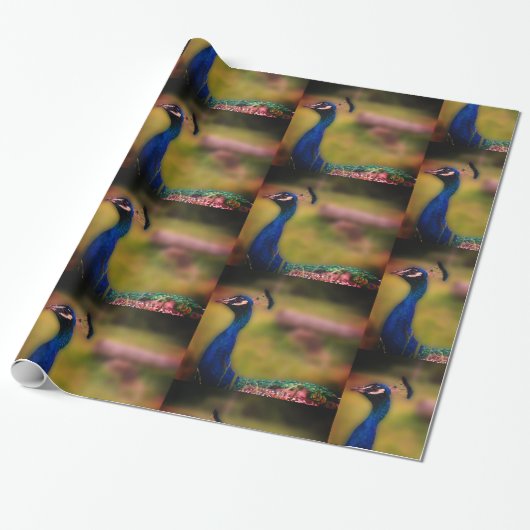 Papier Cadeau Papier Peacock Photo Matte Wrapper (Déroulé)