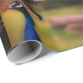 Papier Cadeau Papier Peacock Photo Matte Wrapper (Coin rond)