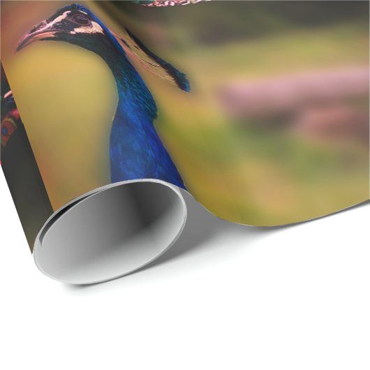 Papier Cadeau Papier Peacock Photo Matte Wrapper (Coin rond)
