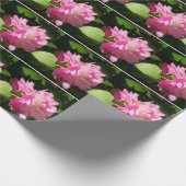 Papier Cadeau Papier Peint Doucement Peonies Roses Enveloppant (Coin)