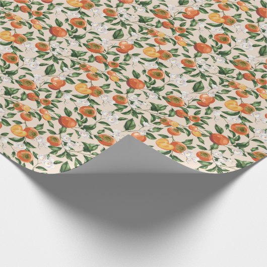 Papier Cadeau Papier Persimmon Wrapper (Coin)