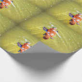 PAPIER CADEAU PAPIER PLATYPUS AUSTRALIA (Coin)