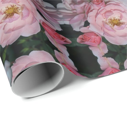 Papier Cadeau Papier Rose d'Enid (Coin rond)