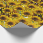 Papier Cadeau Papier tournesol enveloppant mat (Coin)