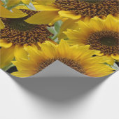 Papier Cadeau Papier tournesol enveloppant mat (Coin)